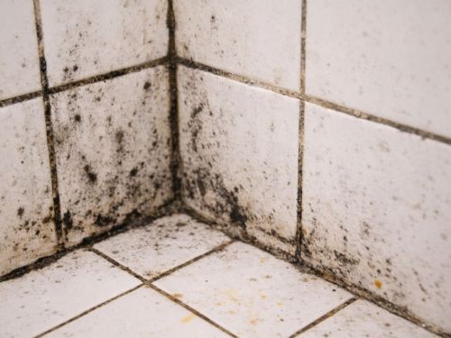 浴室磁磚縫變黑、發霉怎麼辦？從清潔到排風設計與濕區規劃的重要性